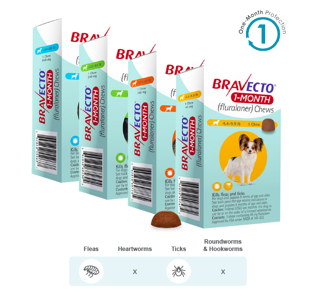 BRAVECTO 1-MONTH Chew for Dogs