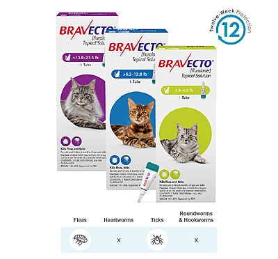BRAVECTO® (fluralaner) Topical Solution for Cats - 3 Month