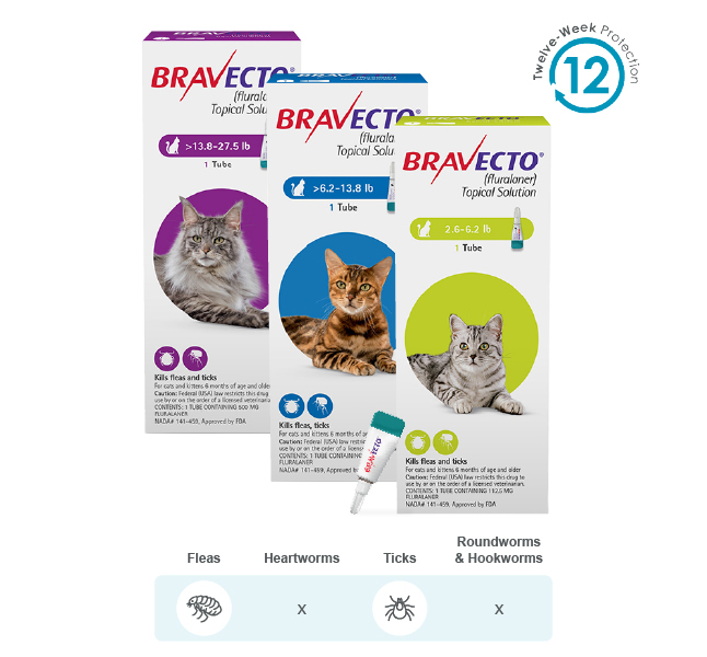 BRAVECTO® (fluralaner) Topical Solution for Cats - 3 Month