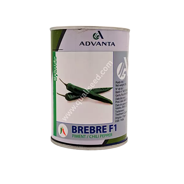 HOT PEPPER BREBRE F1