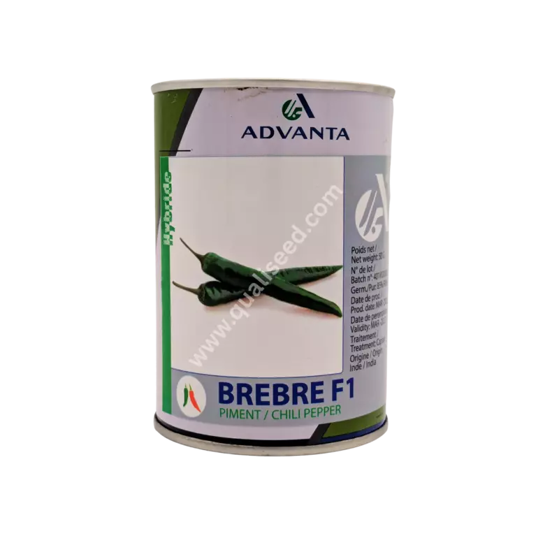 HOT PEPPER BREBRE F1