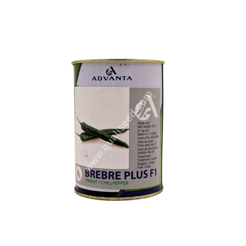 HOT PEPPER BREBRE PLUS F1
