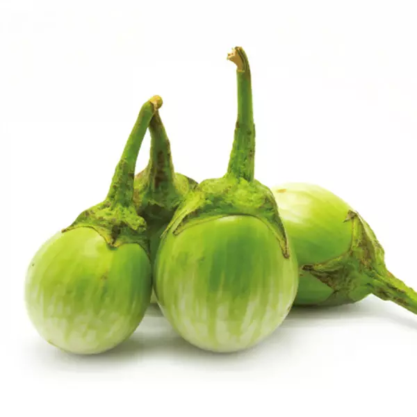 Green Striped Brinjal | பச்சை வரி கத்தரி