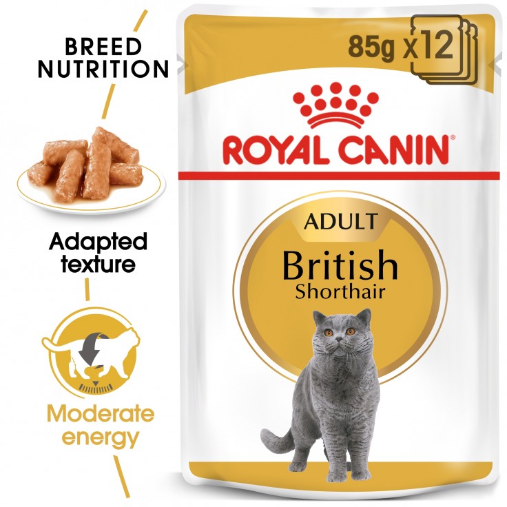 Royal Canin Wet Food Feline Breed Nutrition British Shorthair 12x85G(pouches) Royal Canin Wet Food Feline Breed Nutrition British Shorthair 12x85G(pouches)