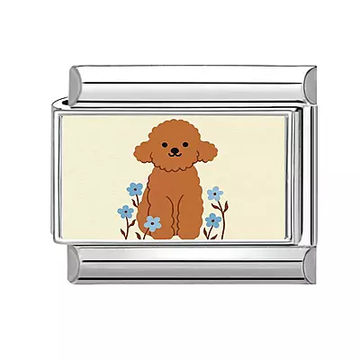 Brown Poodle Brown Poodle