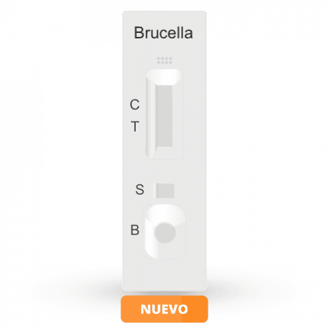 Prueba rapida en cassette para la determinacion cualitativa de Brucella abortus- kit con 25 pruebas- Certum