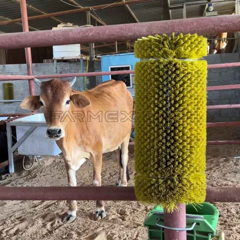 Scratch brush for sheep 180