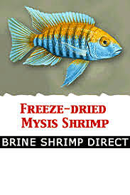 BSD Mysis 1 kg (2.2 lb) Flat