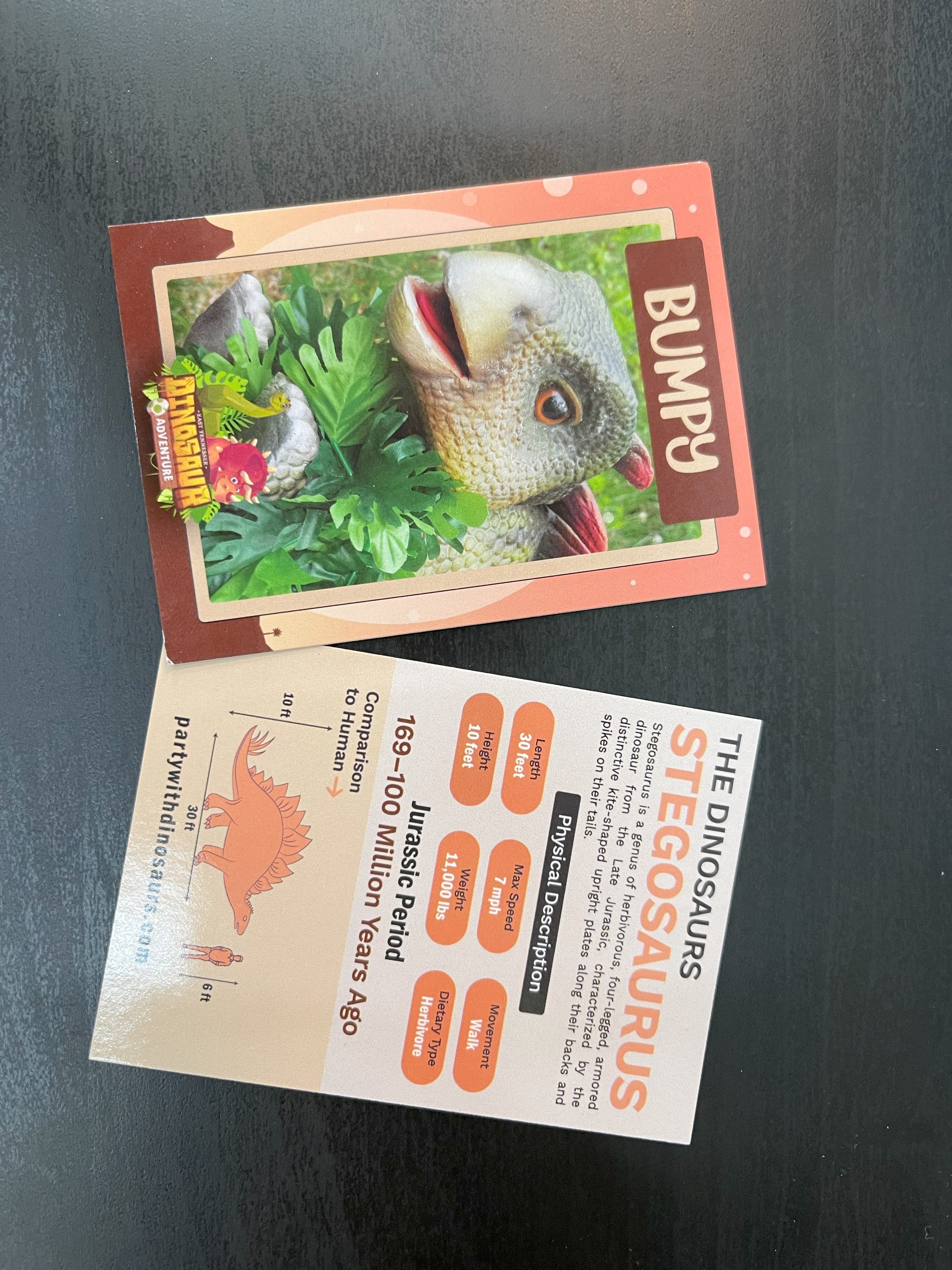 Custom Dinosaur Trading Cards