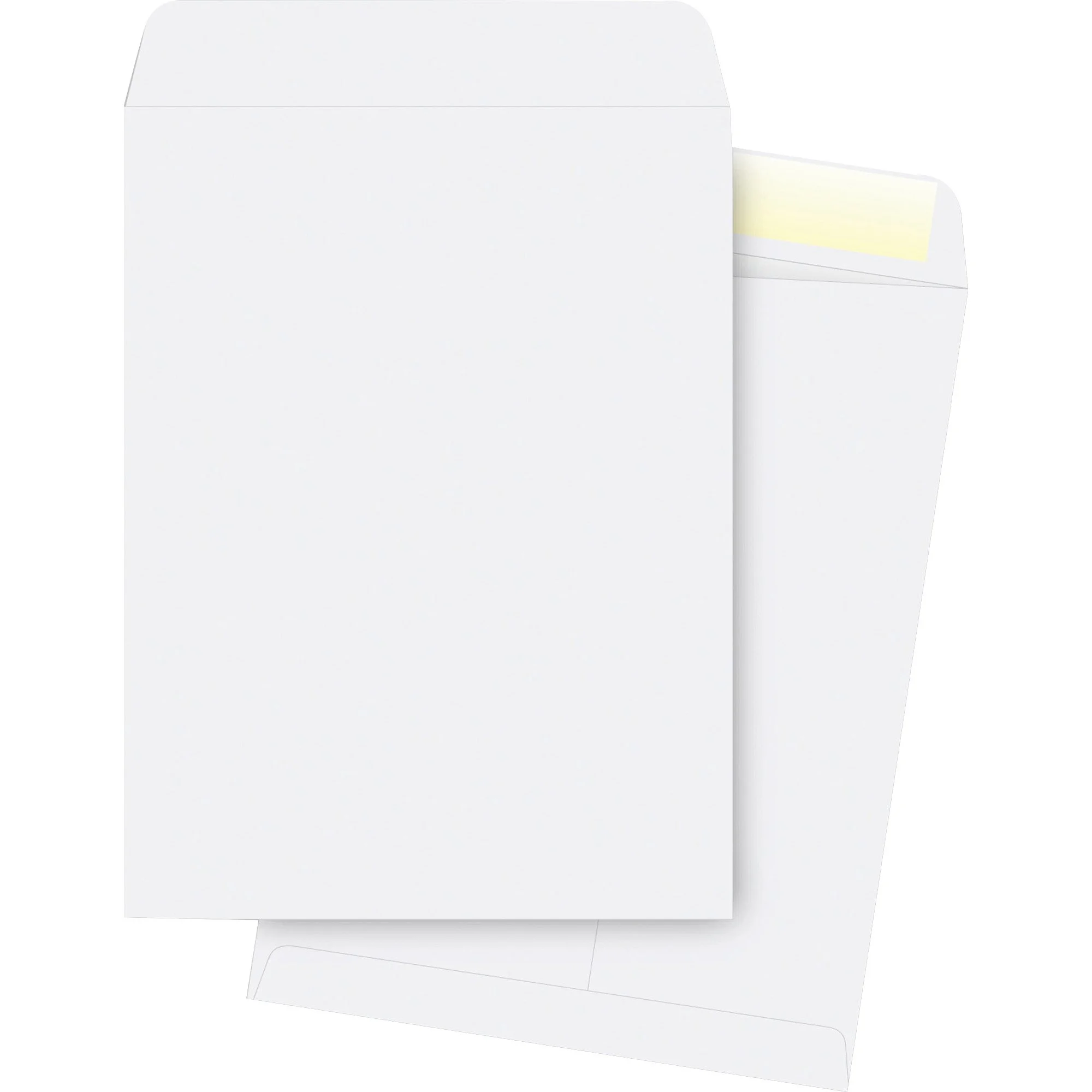 Business Source Catalog Envelopes, 10" x 13", 250/Box (42103)