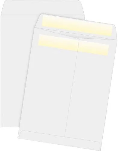 Business Source Press/Seal Catalog Envelopes - 10 x 13 inches - 28 lb - Self-Sealing - 100/Box
