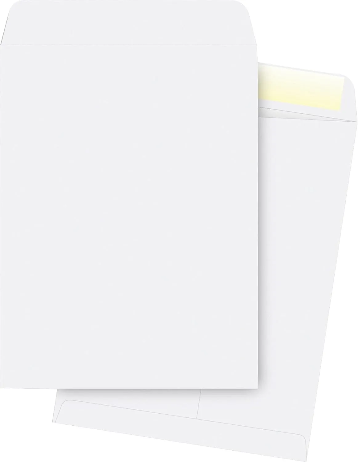 Business Source Catalog Envelopes, 10" x 13", 250/Box (42103)