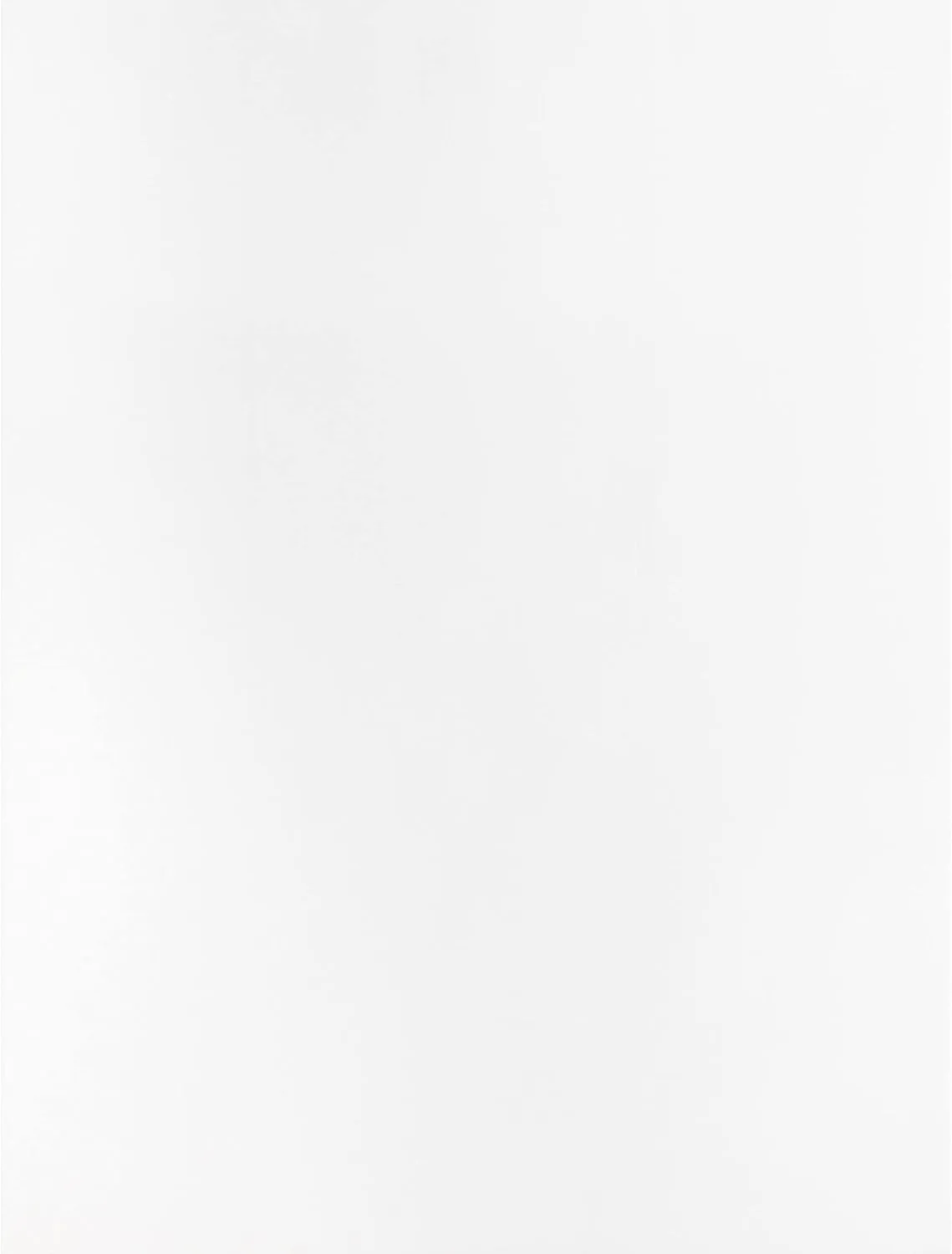 Business Source Large Format Catalog Envelopes, 9" x 12", 28 lb, White (42102)
