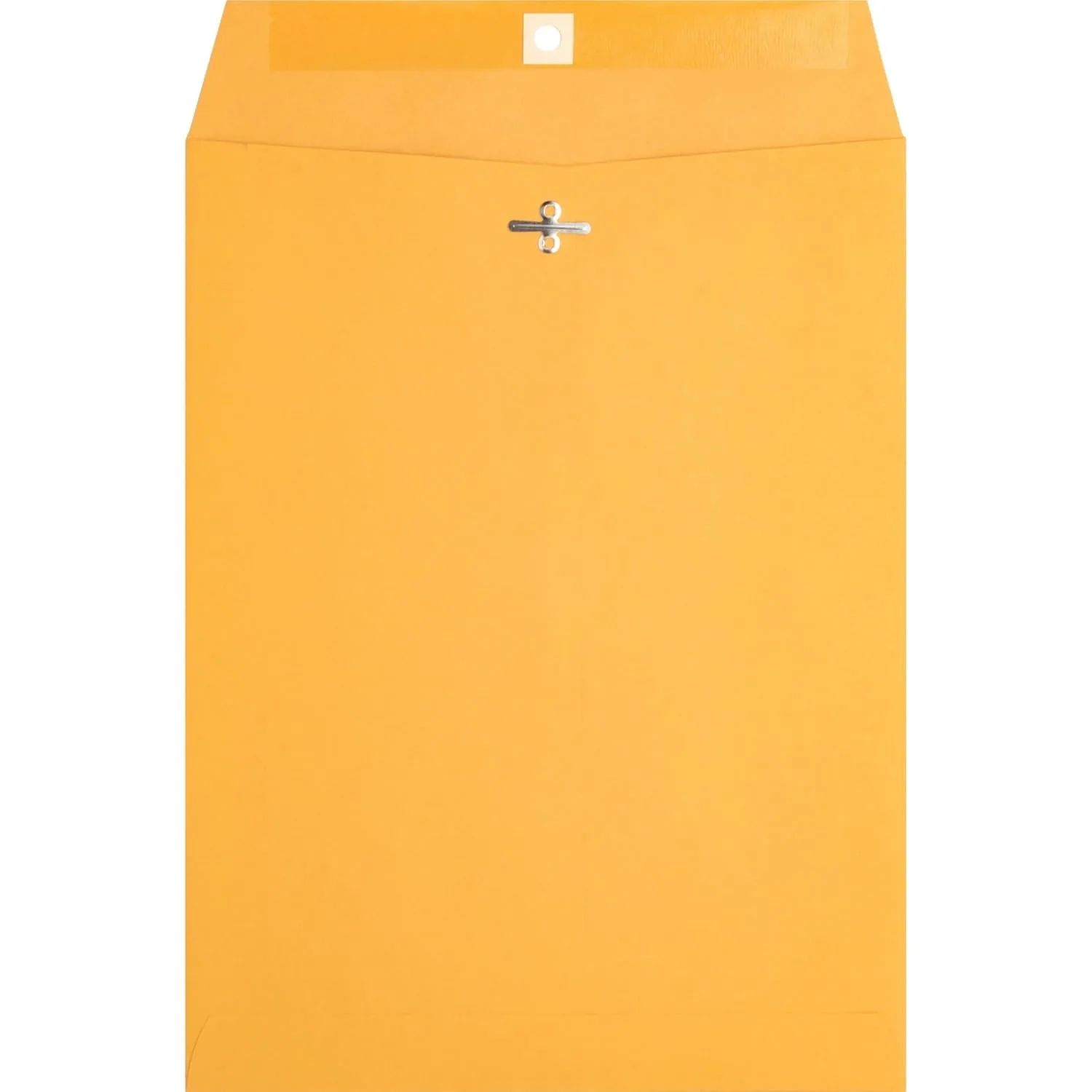 Business Source BSN36663 - Business Source Heavy-Duty Clasp Envelopes