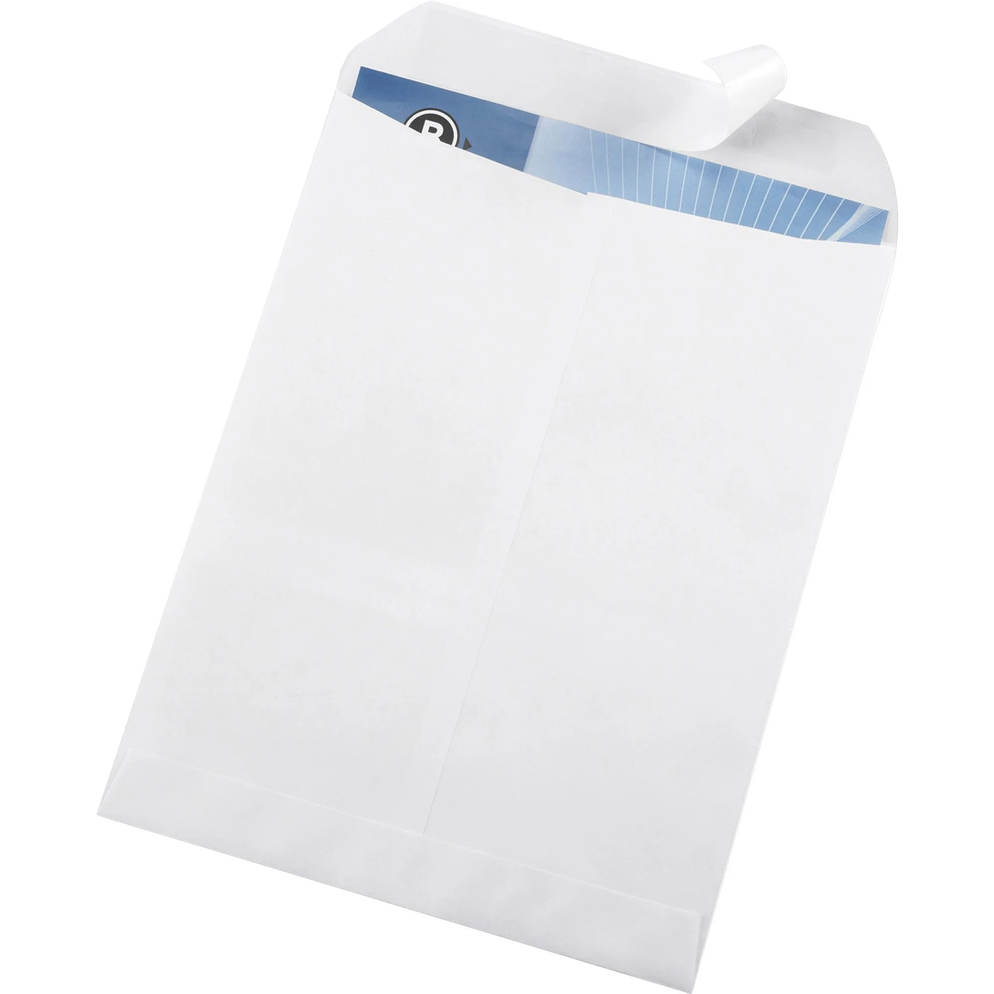 Business Source Self Sealing Catalog Envelope - 9 x 12 - 28 lb - 100/Box