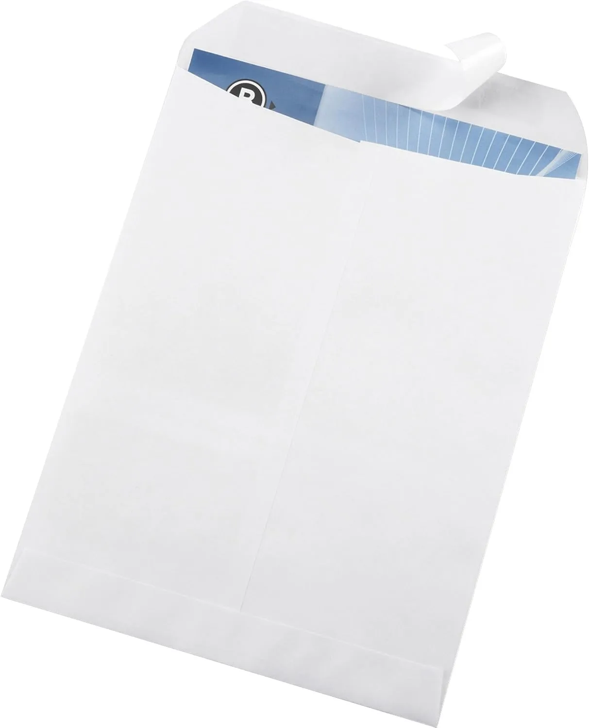 Business Source Self Sealing Catalog Envelope - 9 x 12 - 28 lb - 100/Box