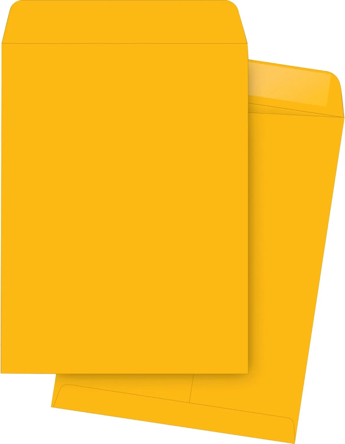 Business Source Kraft Gummed Catalog Envelopes, 10 x 13, 250/Box