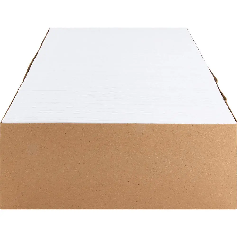 Business Source No. 9 Double Window Invoice Envelopes - #9 - 8 7/8in x 3 7/8in - 24 lb - Self-sealing - White - 500/Box