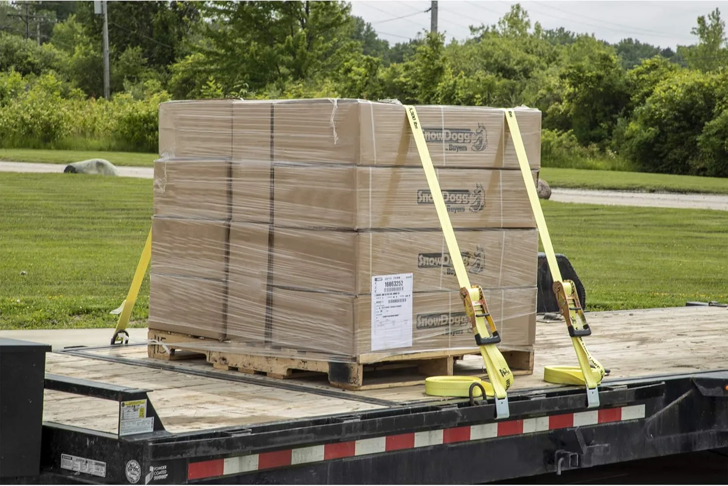 Buyers Products 2 in x 30 ft Ratchet Strap, 3300 lb