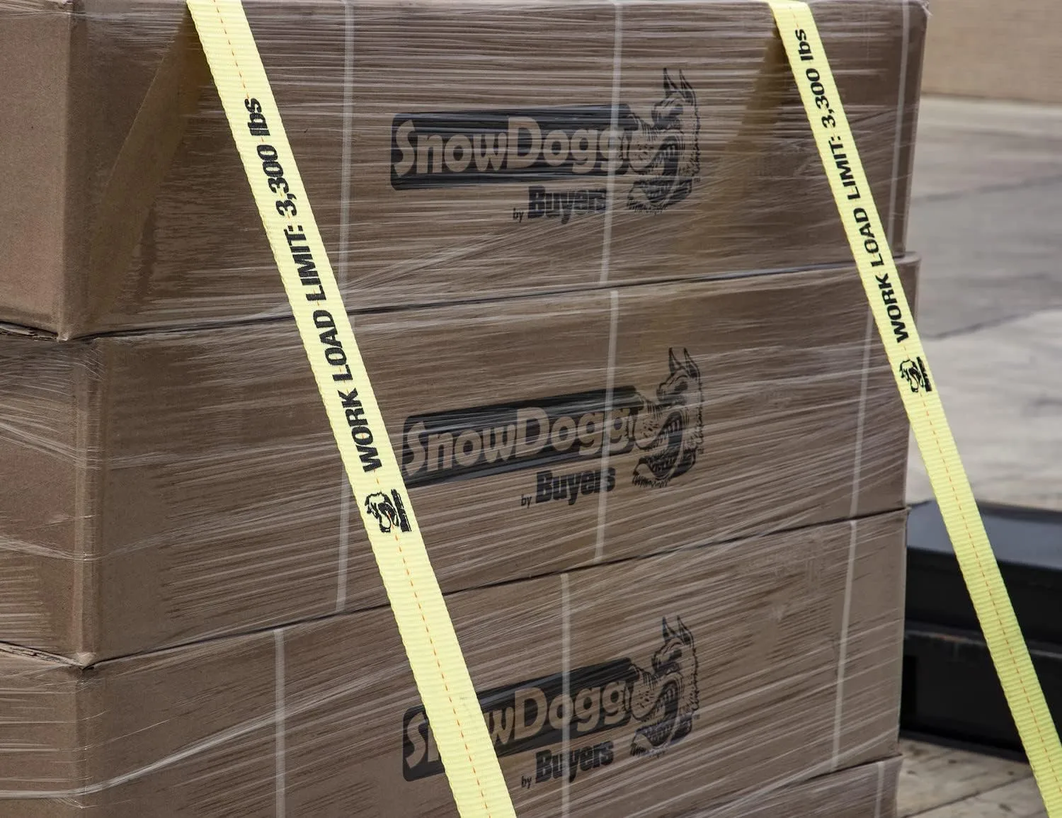 Buyers Products 2 in x 30 ft Ratchet Strap, 3300 lb