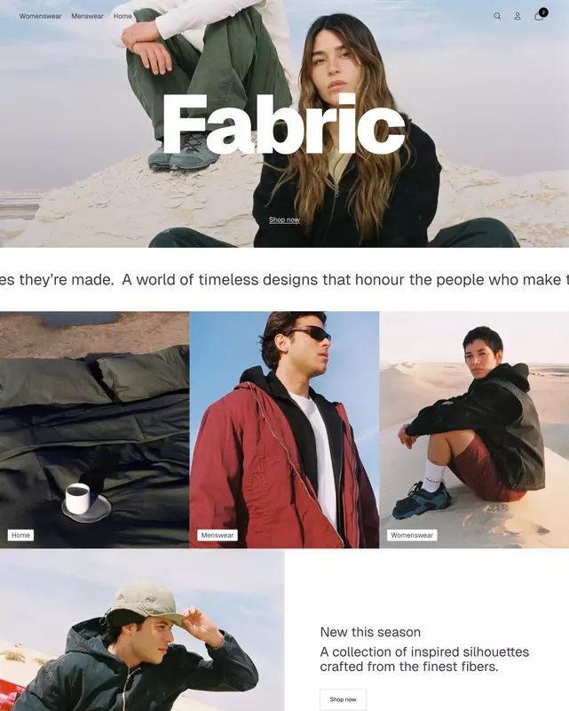 Shopify Theme Updates & Customization