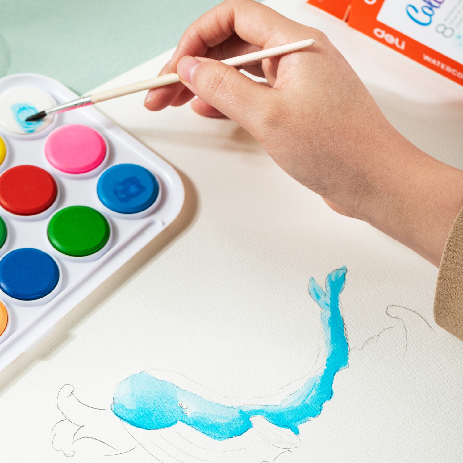 DELI C20-12 WATERCOLOR PAINTS 12 COLORS