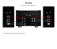 Tonewinner AD-1PA+ High Power Stereo Amplifier