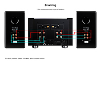 Tonewinner AD-1PA+ High Power Stereo Amplifier