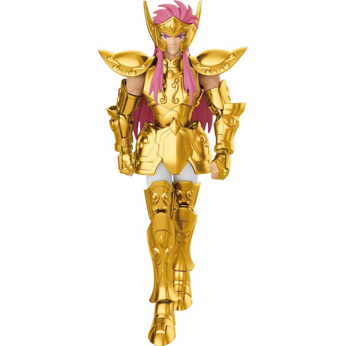 Aquarius Camus Saint Seiya Model Kit