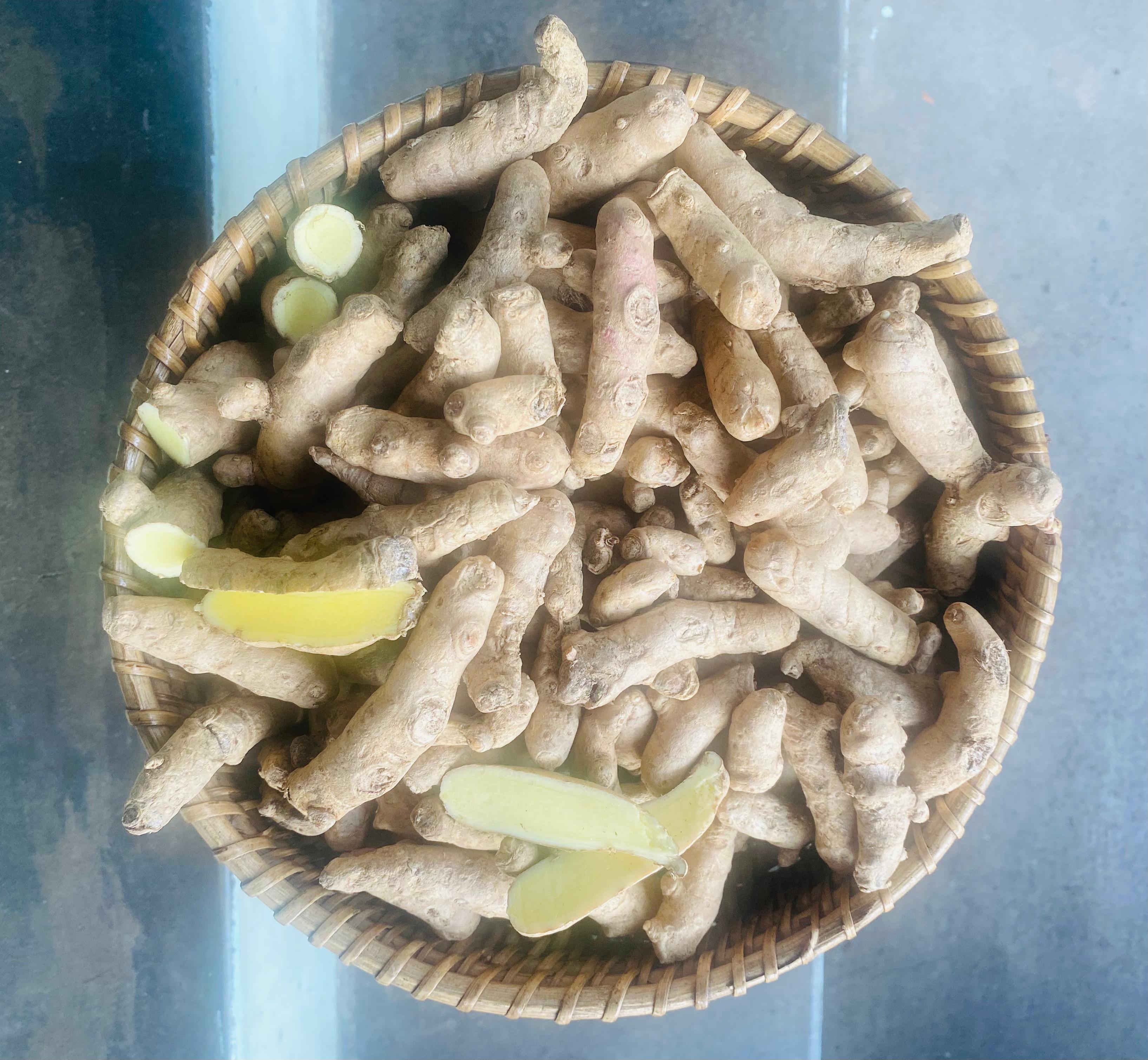 Mango Ginger Seed