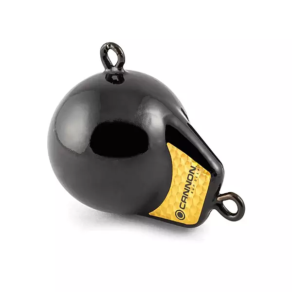 Cannon 2295180 Flash Weight, 6-Pound , Black with Gold Prism