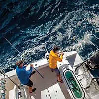 Cannon Optimum 10 Tournament Series (TS) BT Electric Downrigger