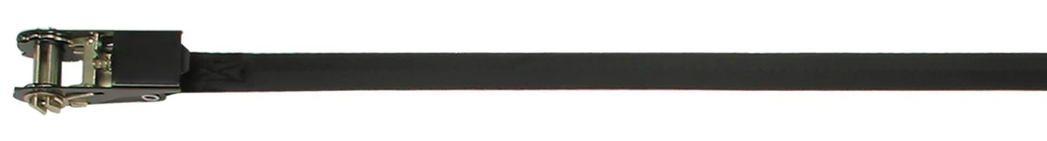CargoBuckle F13757 Continuous Loop Ratchet Tie-Down
