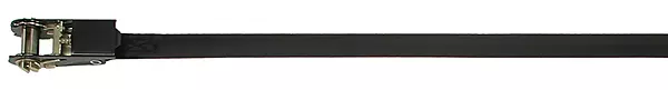 CargoBuckle F13757 Continuous Loop Ratchet Tie-Down