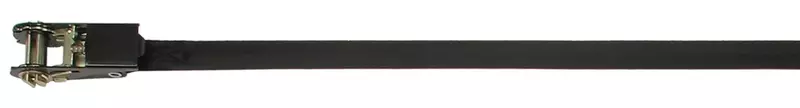 CargoBuckle F13757 Continuous Loop Ratchet Tie-Down