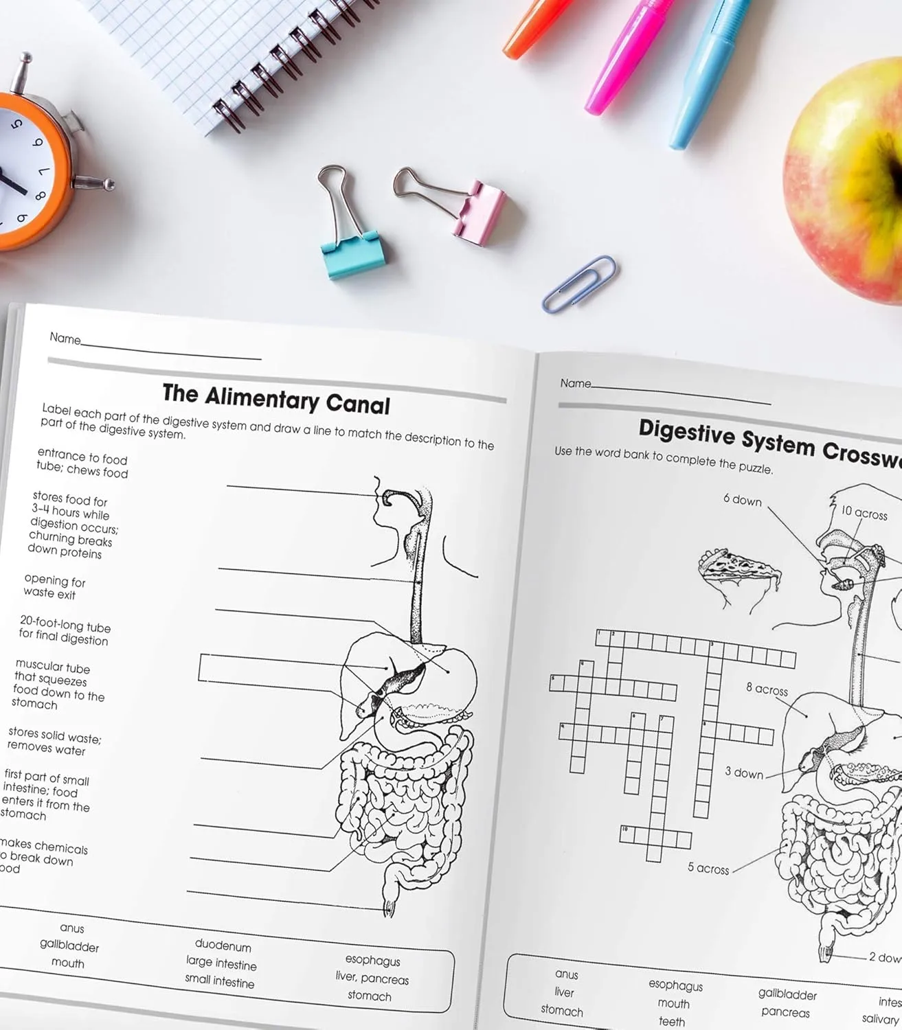 Carson Dellosa The 100+ Series: Human Body WorkbookGrades 5-8 Science Book, Human Anatomy, Bones, Muscles, Organs