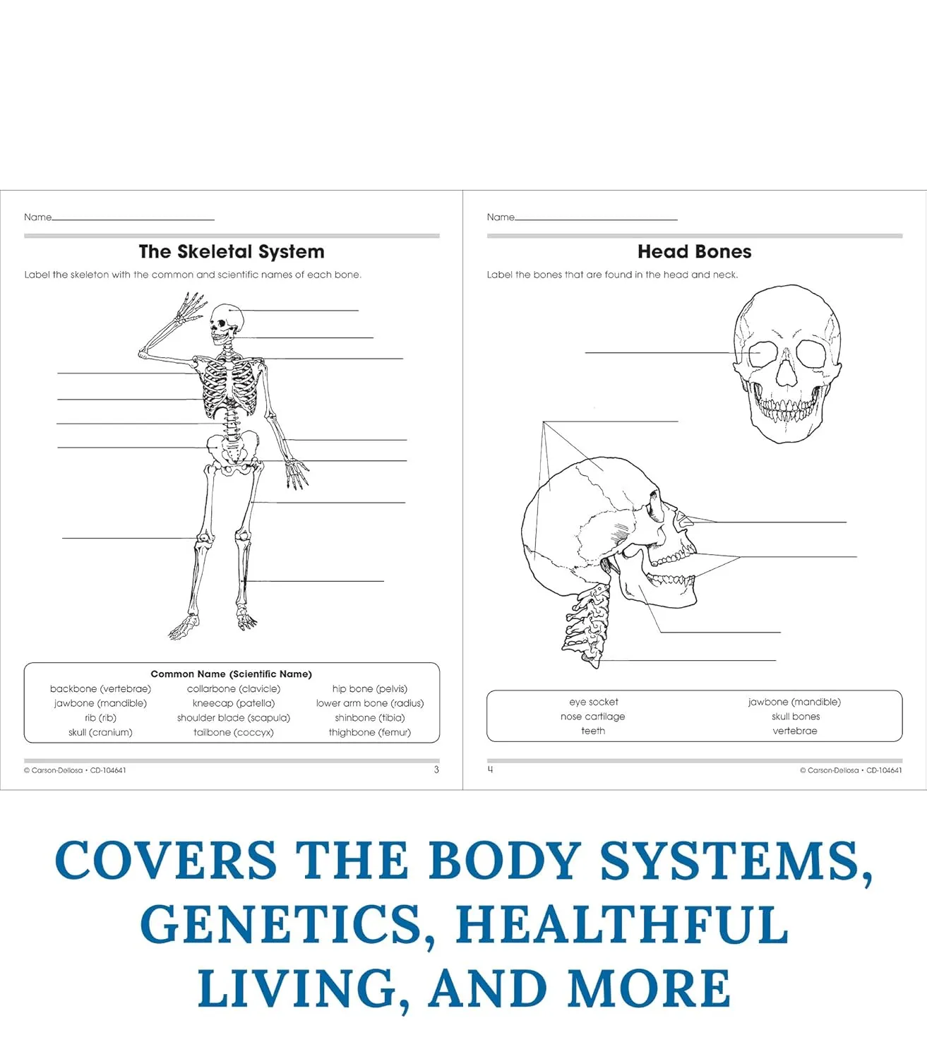 Carson Dellosa The 100+ Series: Human Body WorkbookGrades 5-8 Science Book, Human Anatomy, Bones, Muscles, Organs