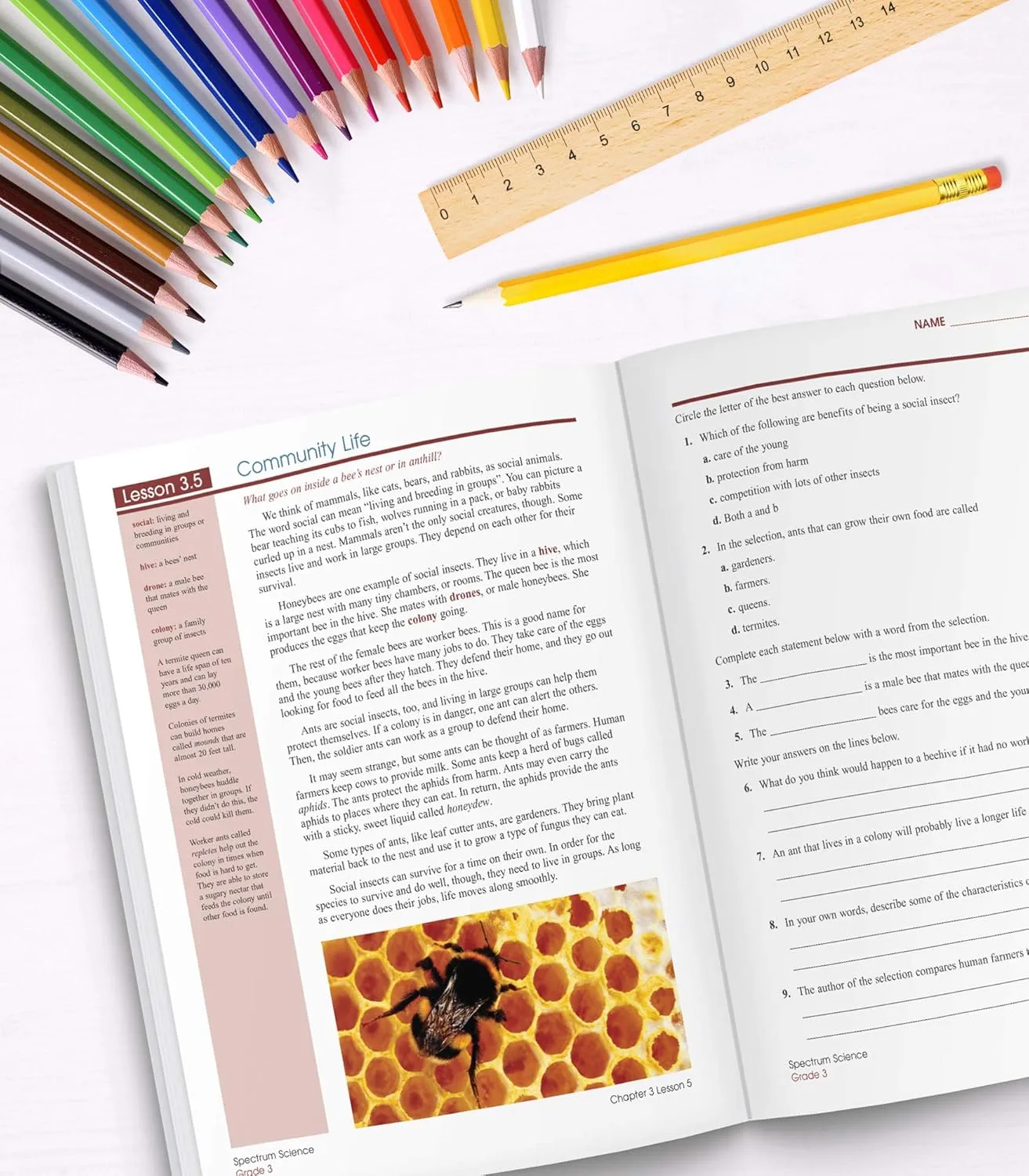 Spectrum 3rd Grade Science Workbooks, Ages 8 to 9, Grade 3 Science, Physical, Space, Earth, and Life Science