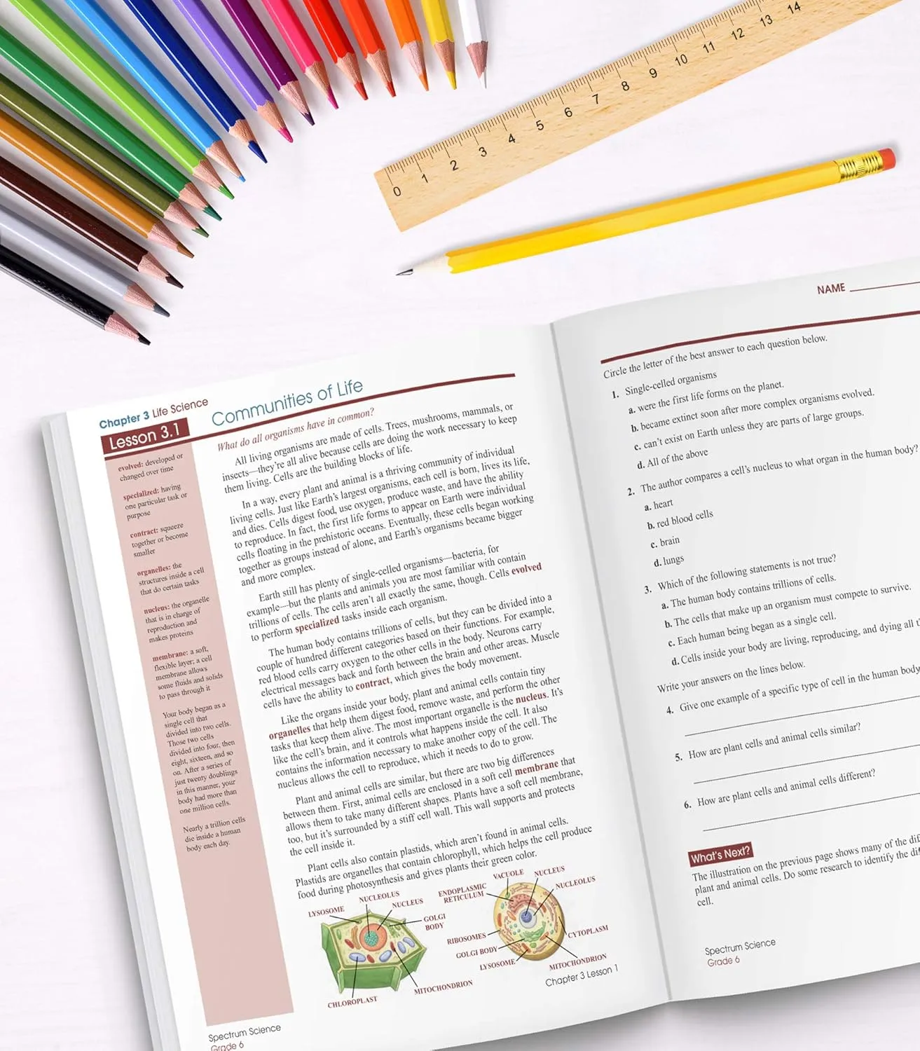 Carson-Dellosa Spectrum Science Workbook, Grade 6