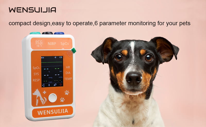 Monitor de paciente veterinario para mascotas,