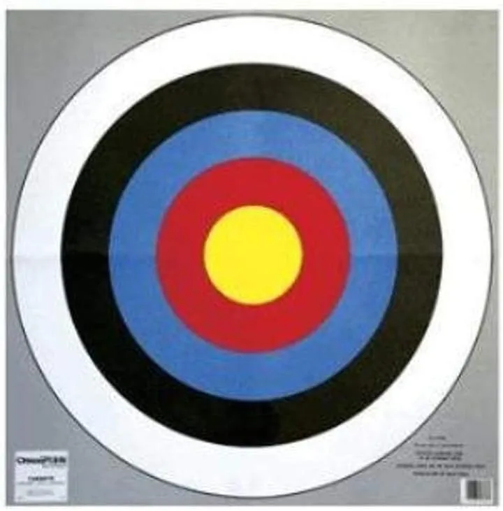 Champion Range and Target, Precision 24-Inch Bullseye Archery Target, 2-pack for Archery Practice