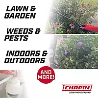 Chapin 16200 2-Gallon Made in USA Garden Pump Sprayer with Ergonomic Handle, Trigger Shut Off