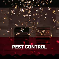 Chapin Premier Steel Portable Compression Sprayer, 2-Gallon Capacity, Model# 1280 Handheld Sprayer