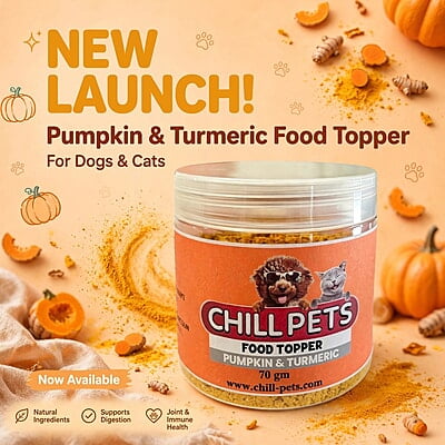 Pet Food Topper. Pumpkin & Turmeric 70g