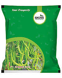 Chilli Shine 610 F1 - Shine Brand Seeds (10 Gm)