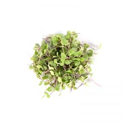 Chou Kale Chou Kale