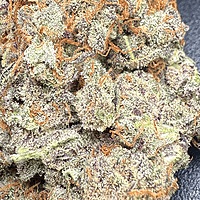 Cherry Pie Indoor Hidropónica