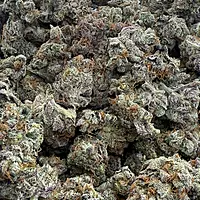 Cherry Pie Indoor Hidropónica