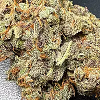 Cherry Pie Indoor Hidropónica