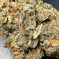 Cherry Pie Indoor Hidropónica
